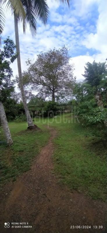 Commercial Land for Sale in Homagama