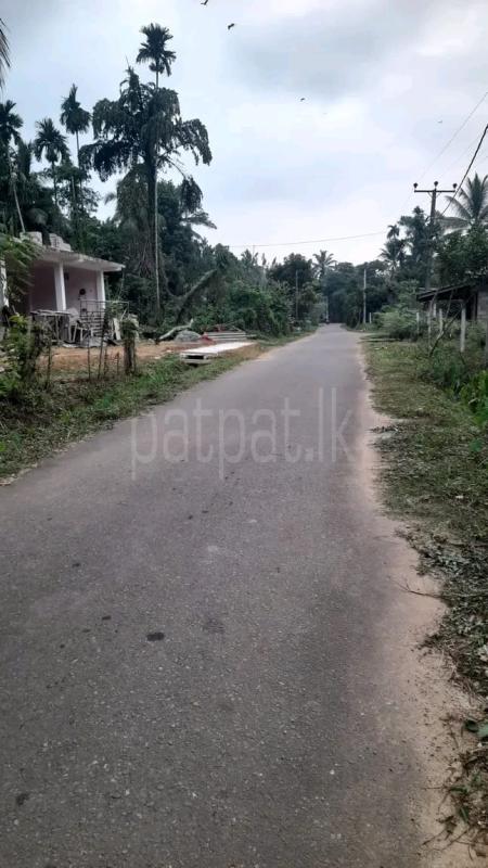 House for Sale in Panagoda ads-image-1