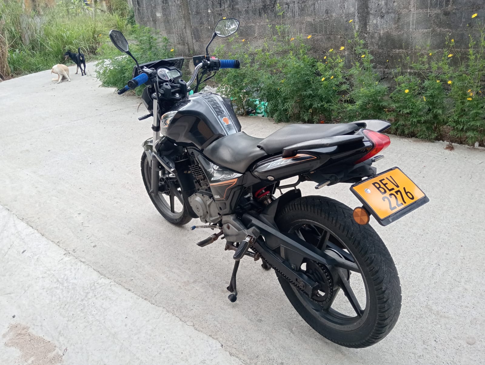 Advertisement image 6