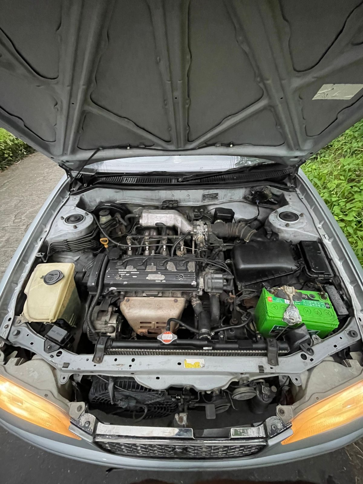 Advertisement image 6