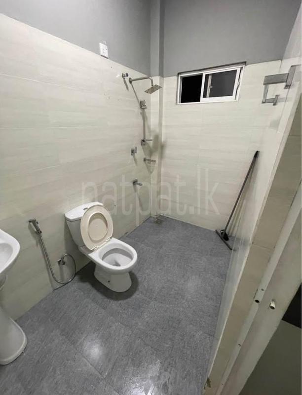 Advertisement image 7