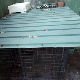 Dog Cage for Sale In Kandy (Peradeniya)