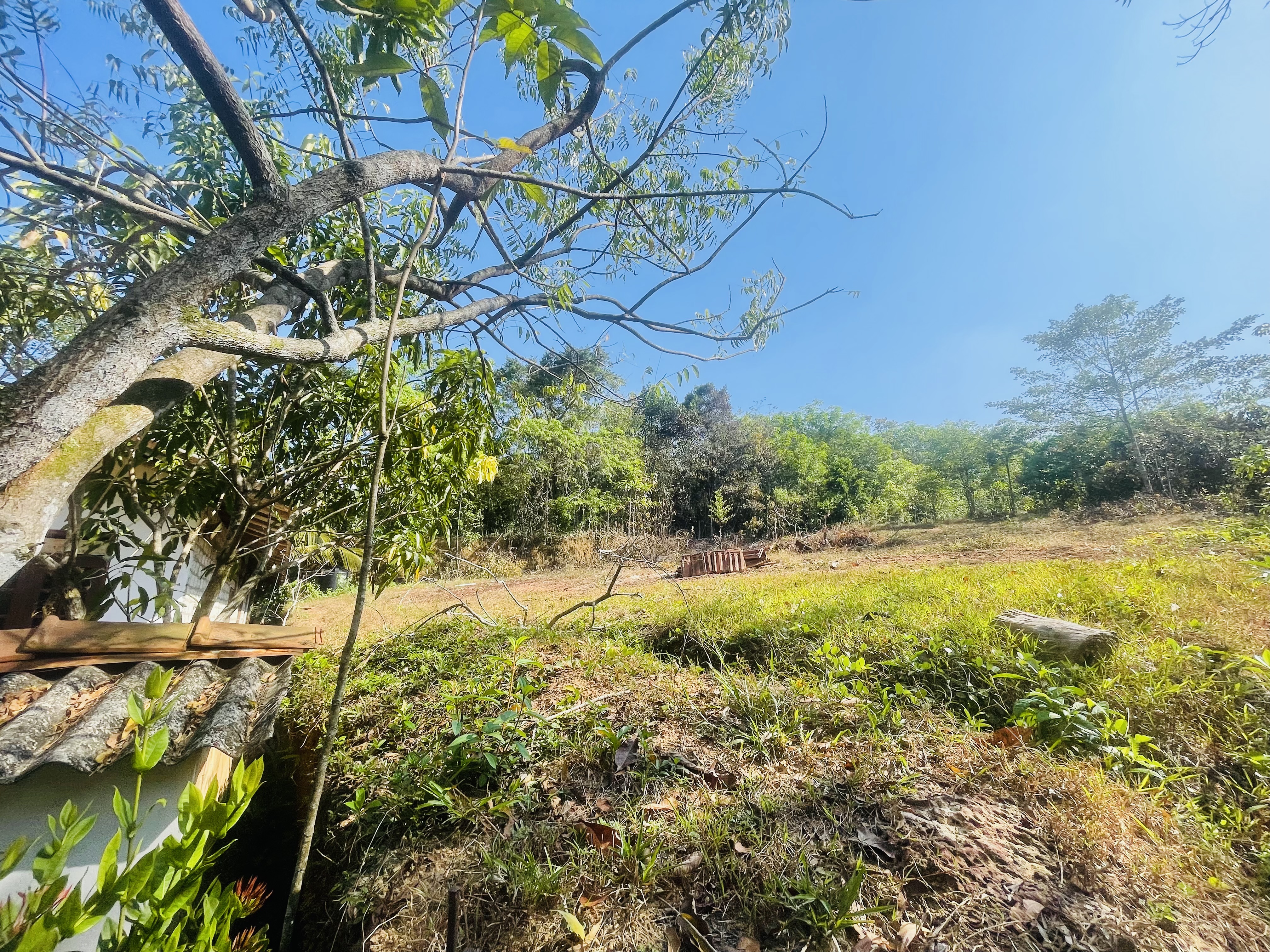 Residential Land for Sale in Kalutara