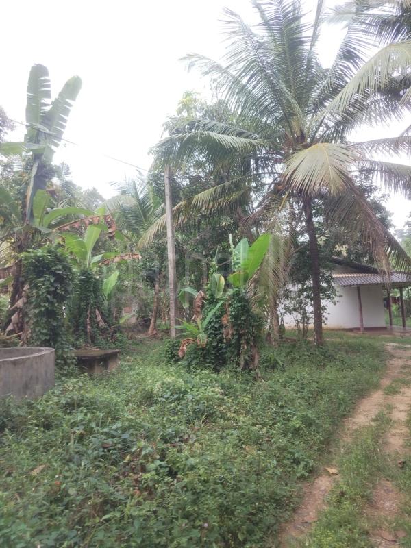 Residential Land for Sale in Veyangoda ads-image-1