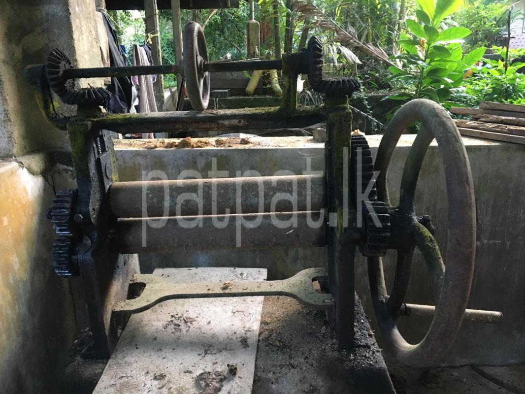 Advertisement image 1