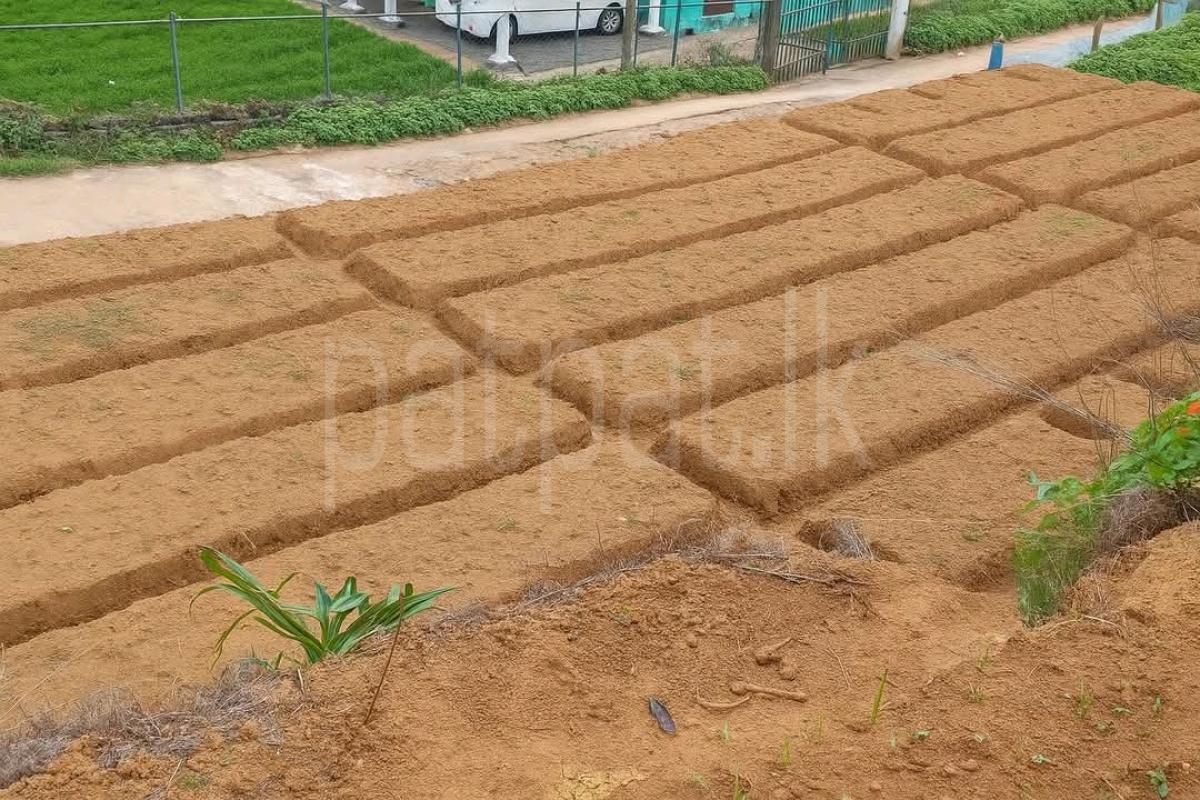 Agricultural Land for Sale in Bogawantalawa ads-image-1