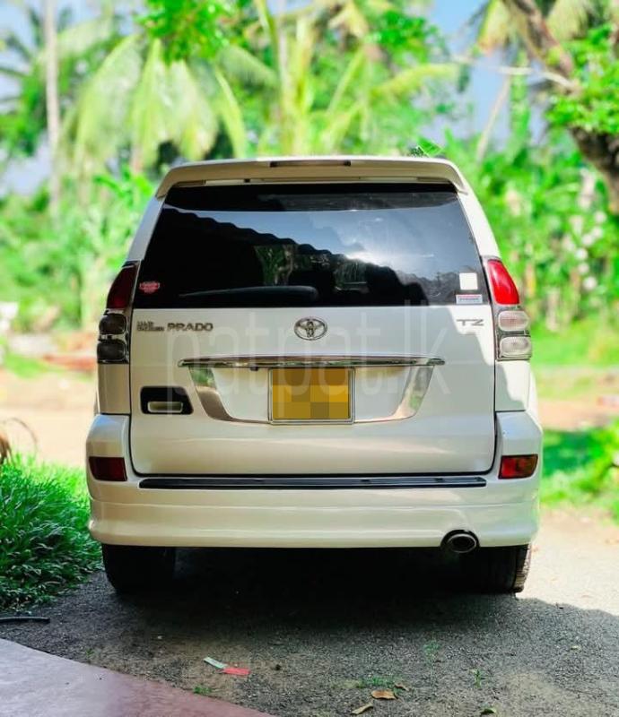 Advertisement image 6