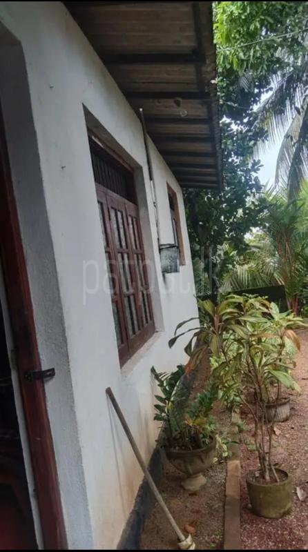 House for Sale in Polgasowita