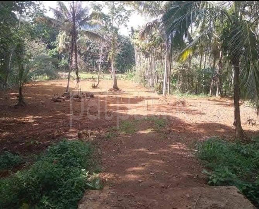 Residential Land for Sale in Gampola