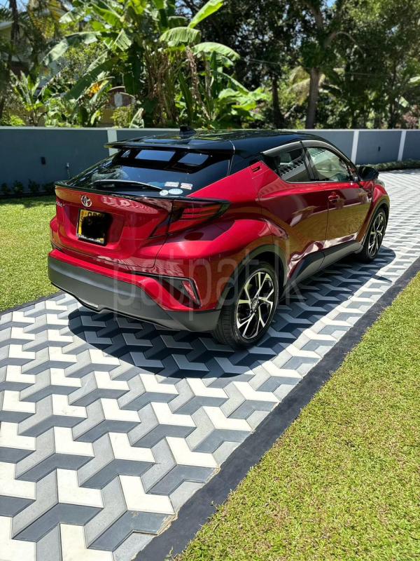 Advertisement image 1