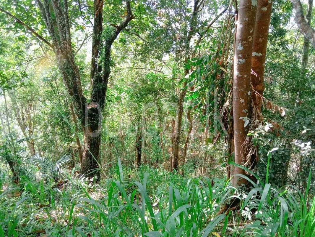 Agricultural Land for Sale in Elpitiya ads-image-1