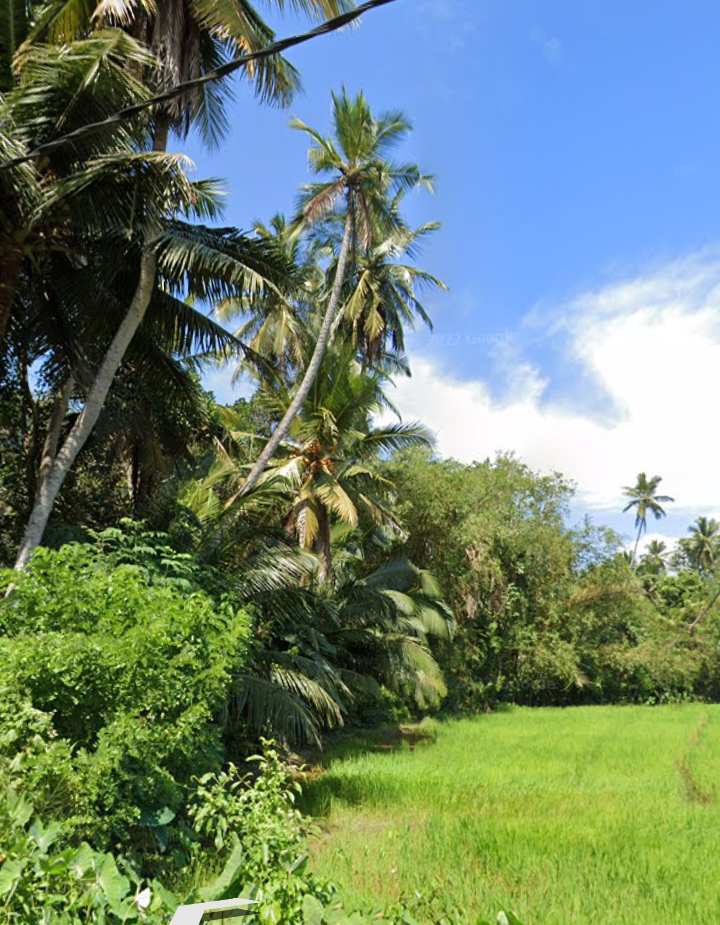 Residential Land for Sale in Giriulla