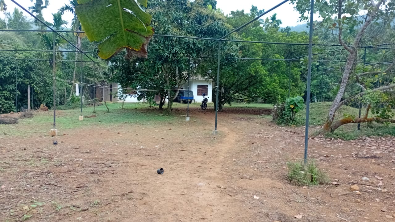 Agricultural Land for Rent in Padukka