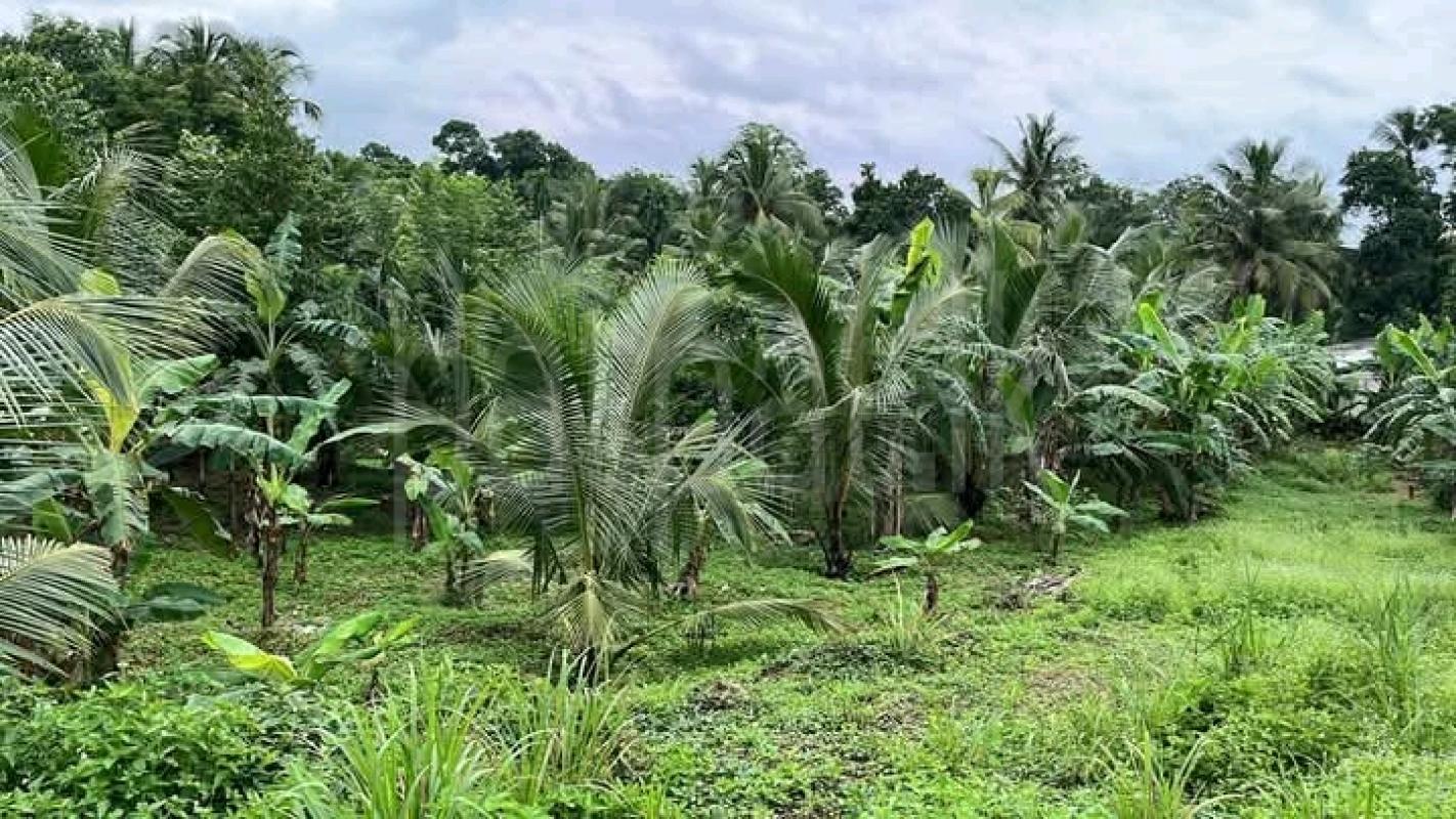 Commercial Land for Sale in Horana