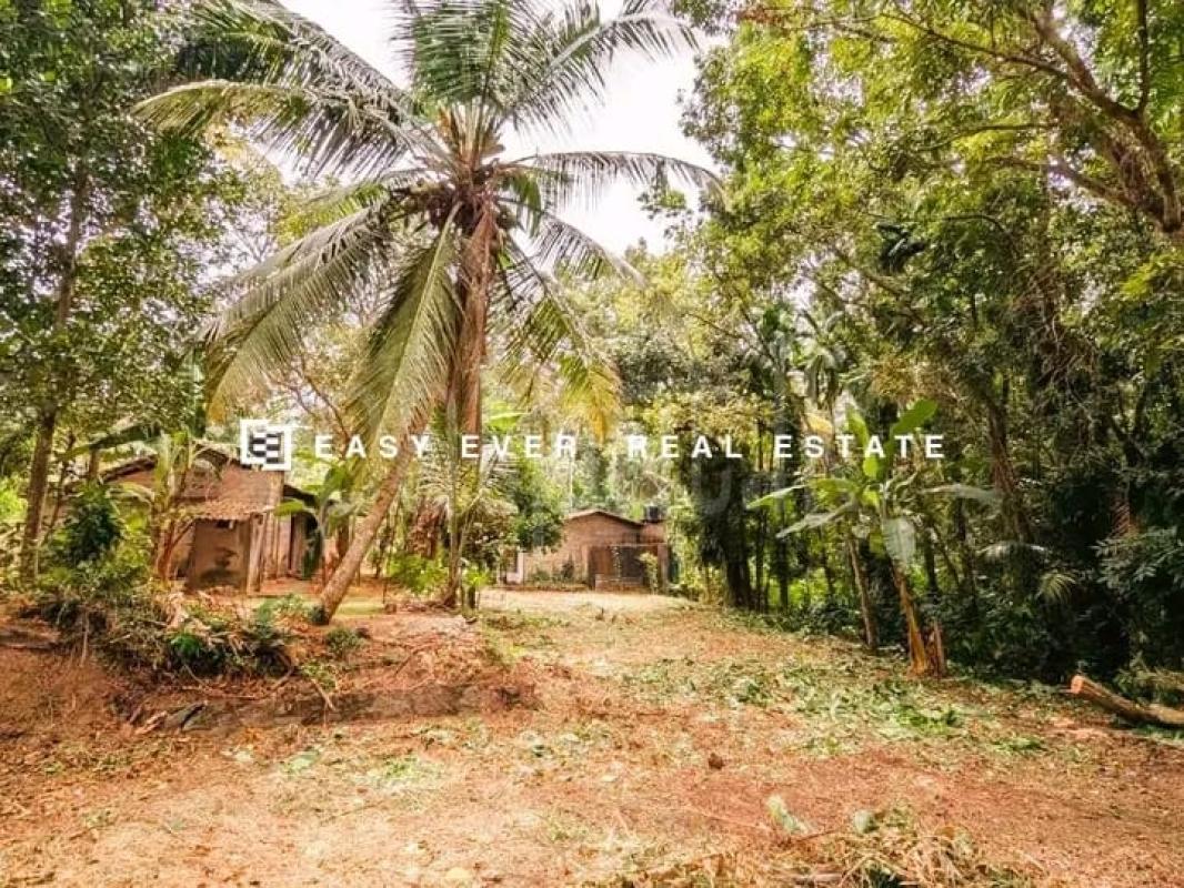 Commercial Land for Sale in Ja-Ela ads-image-1