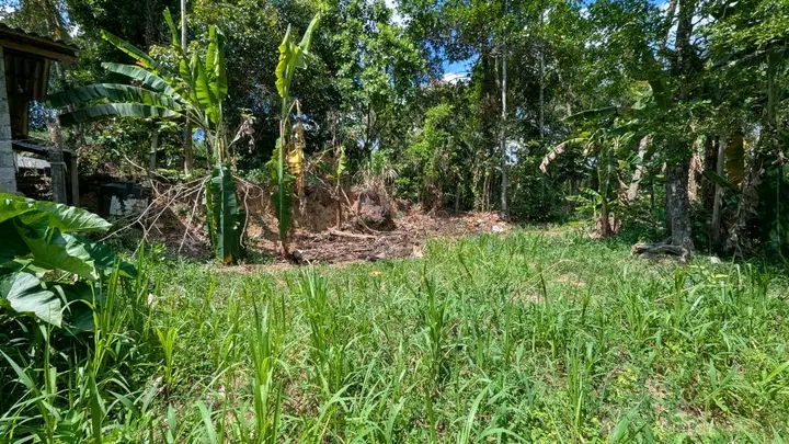 Commercial Land for Sale in Gampaha