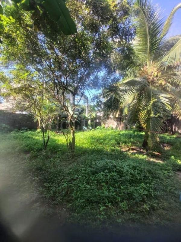 House for Sale in Wattala