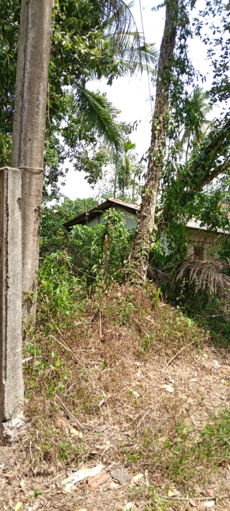 Residential Land for Sale in Gampaha ads-image-1