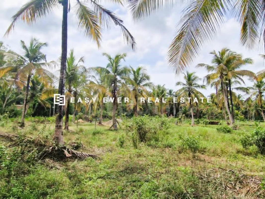 Residential Land for Sale in Kuliyapitiya