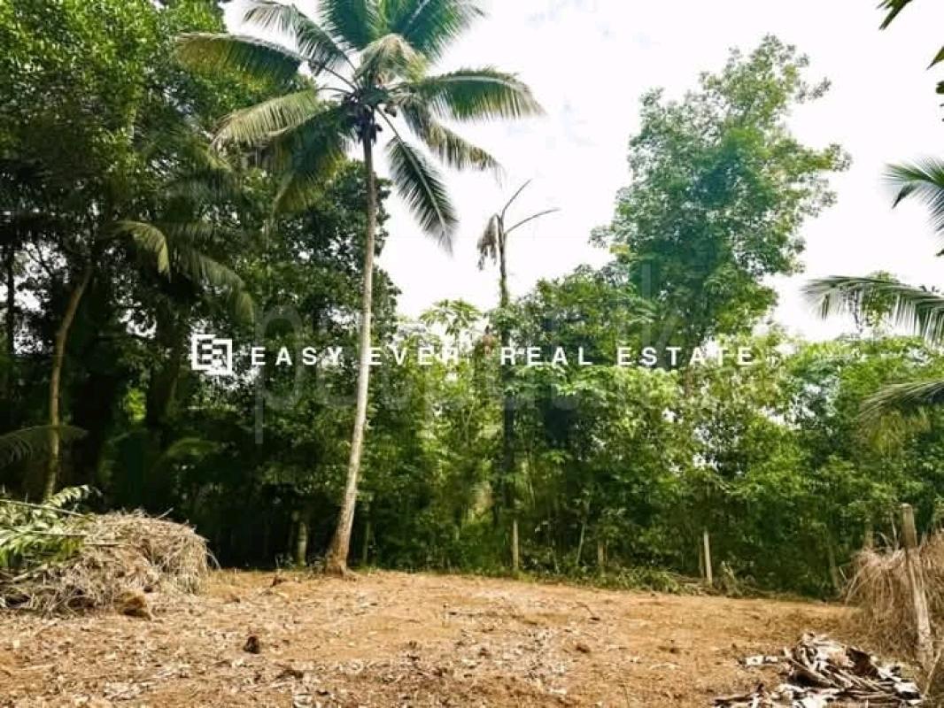 Residential Land for Sale in Kirindiwela