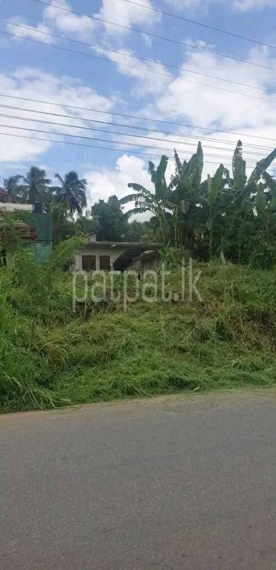 Agricultural Land for Sale in Medamahanuwara ads-image-1