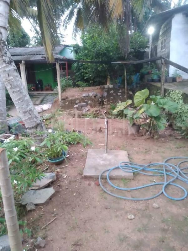 Commercial Land for Sale in Ganemulla