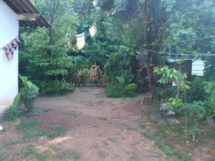 Agricultural Land for Sale in Kollupitiya (Colombo 03)