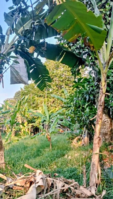 Residential Land for Sale in Kottawa