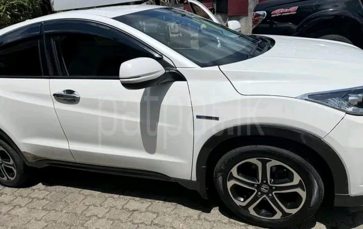 Advertisement image 5