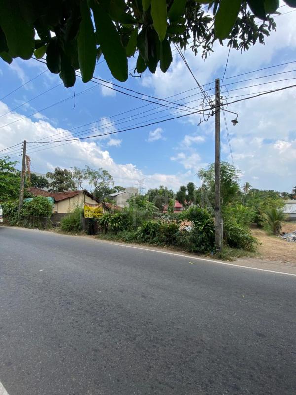 Commercial Land for Sale in Angoda ads-image-1