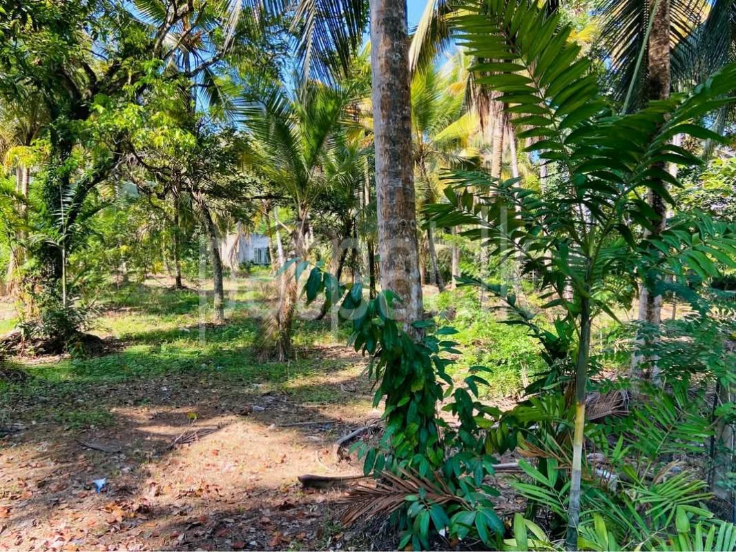 Commercial Land for Sale in Moratuwa ads-image-1