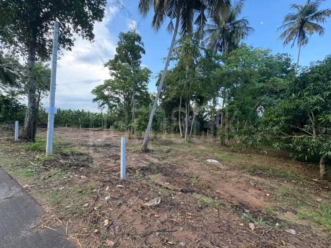 Residential Land for Sale in Wattala