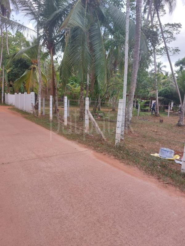 Residential Land for Sale in Divulapitiya ads-image-1
