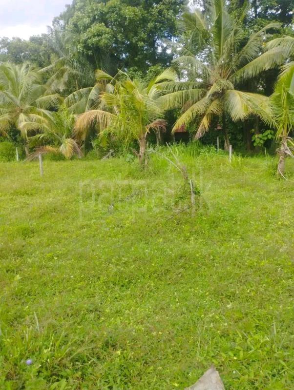 Agricultural Land for Sale in Mawathagama