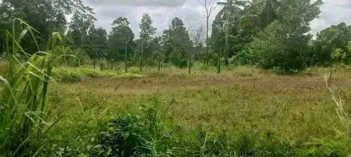 Commercial Land for Sale in Homagama