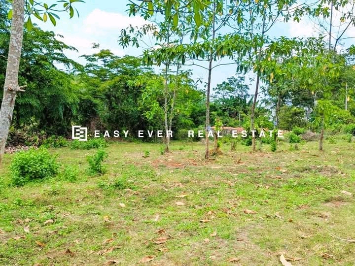 Commercial Land for Sale in Horana