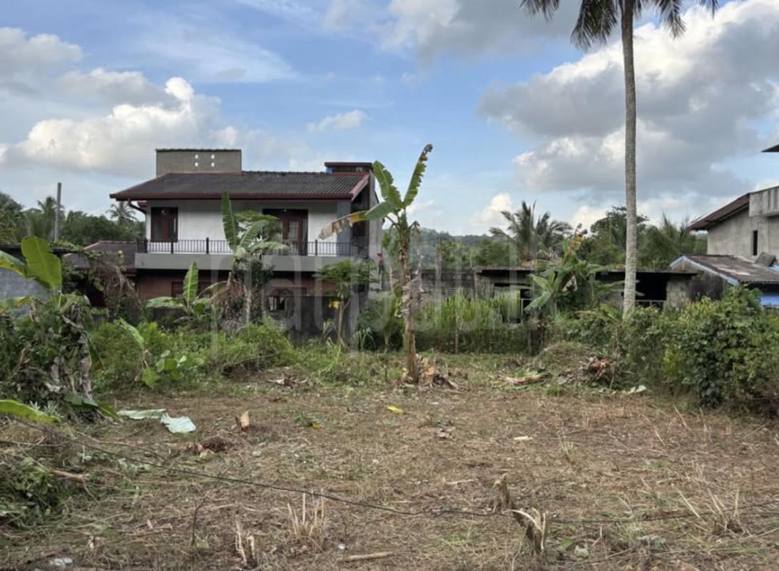 premium-listing-image