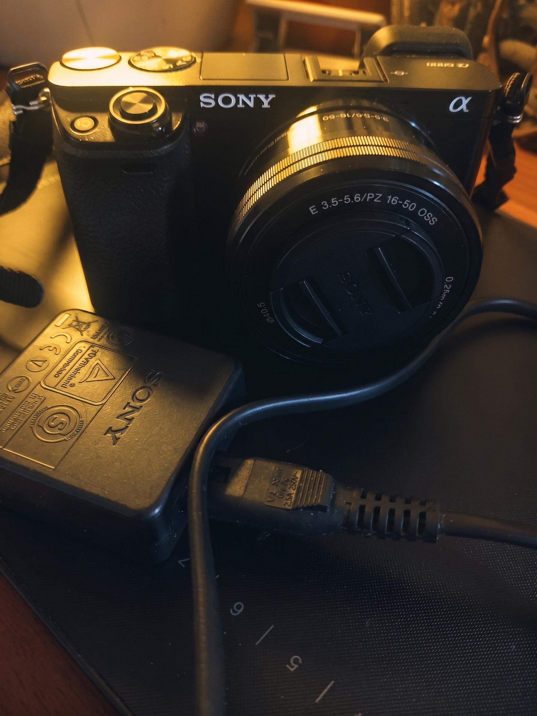 Sony Alpha 6000 Camera