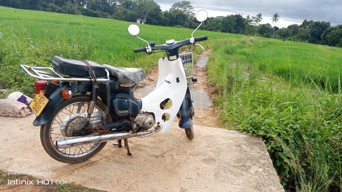 Advertisement image 1