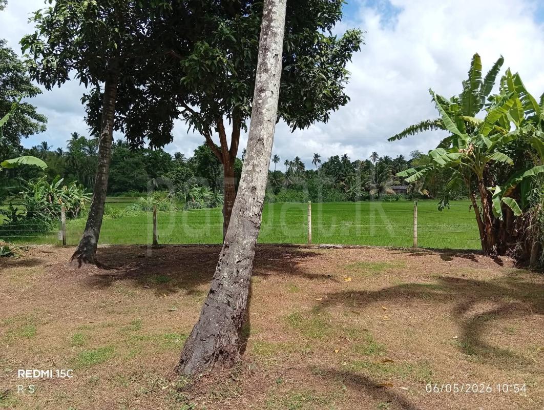 Residential Land for Sale in Kurunegala