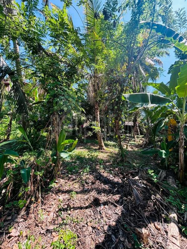 Agricultural Land for Sale in Ridigama