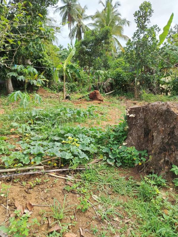 Residential Land for Sale in Kosgama