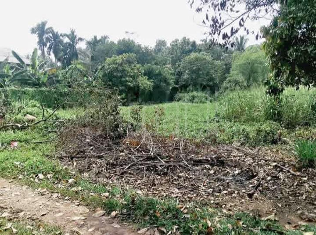 Residential Land for Sale in Kelaniya ads-image-1