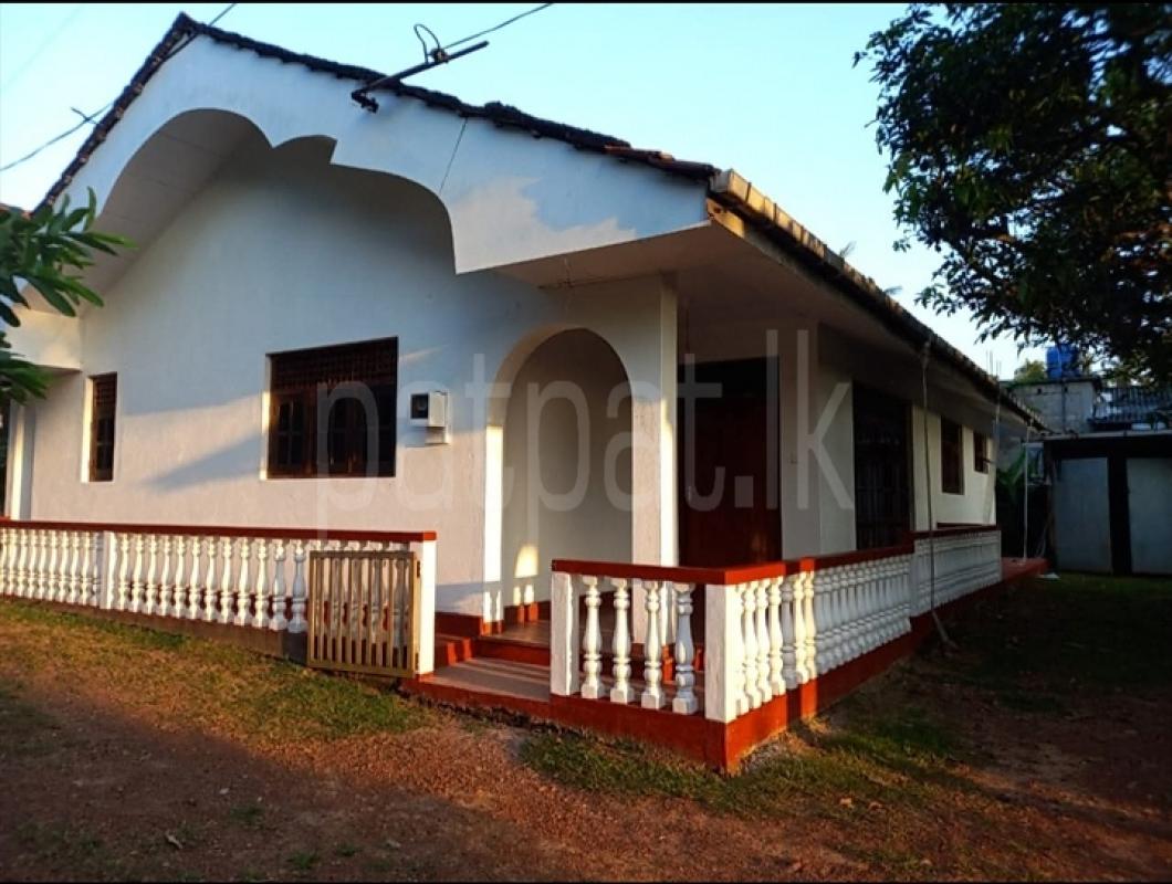 House for Rent in Piliyandala ads-image-1