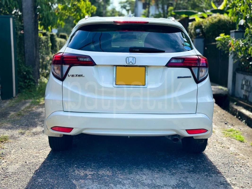 Advertisement image 4