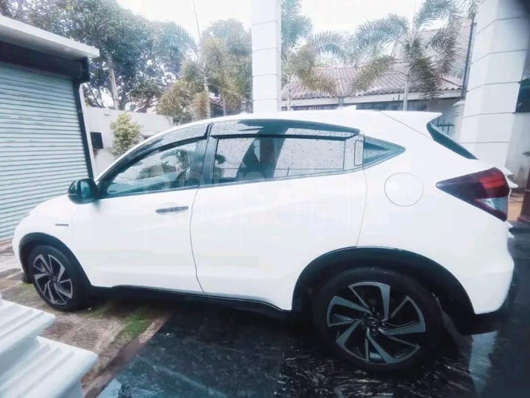 Advertisement image 1