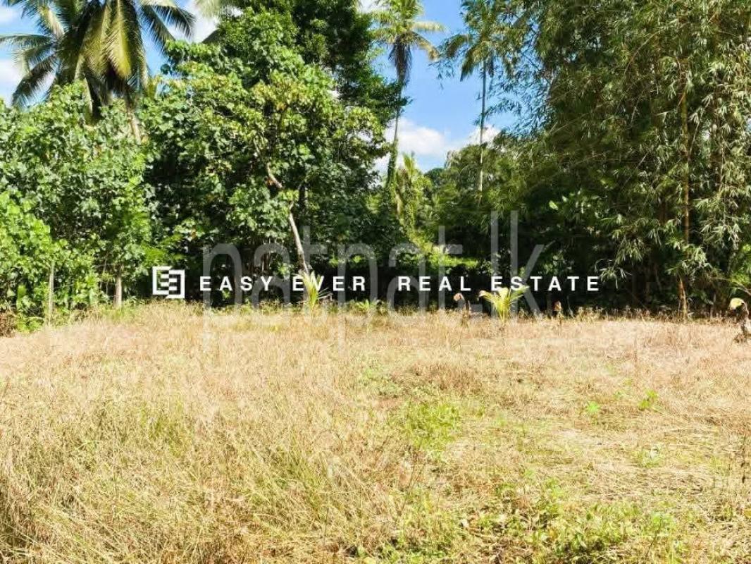 Residential Land for Sale in Udugampola