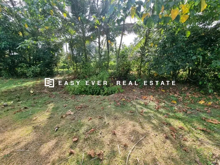 Commercial Land for Sale in Minuwangoda