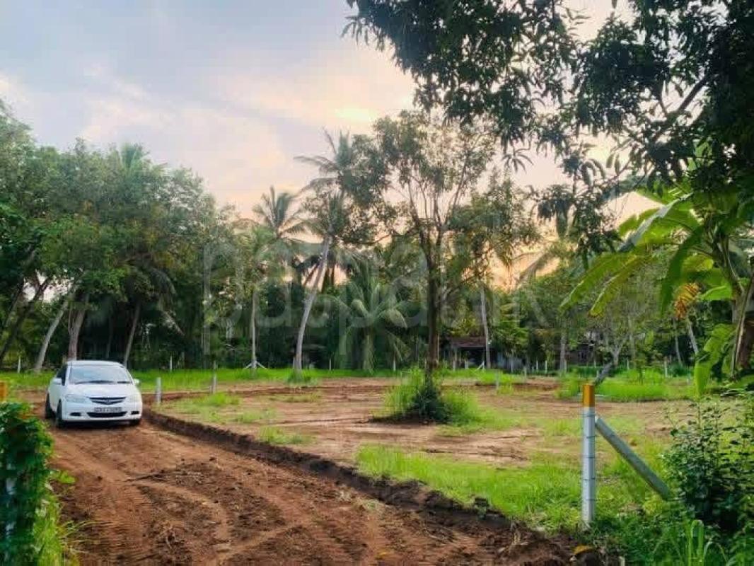 Residential Land for Sale in Anuradhapura