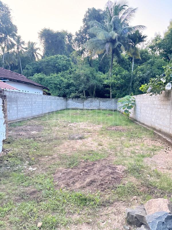 Commercial Land for Sale in Narammala